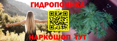 мяу мяу мука Жуковский
