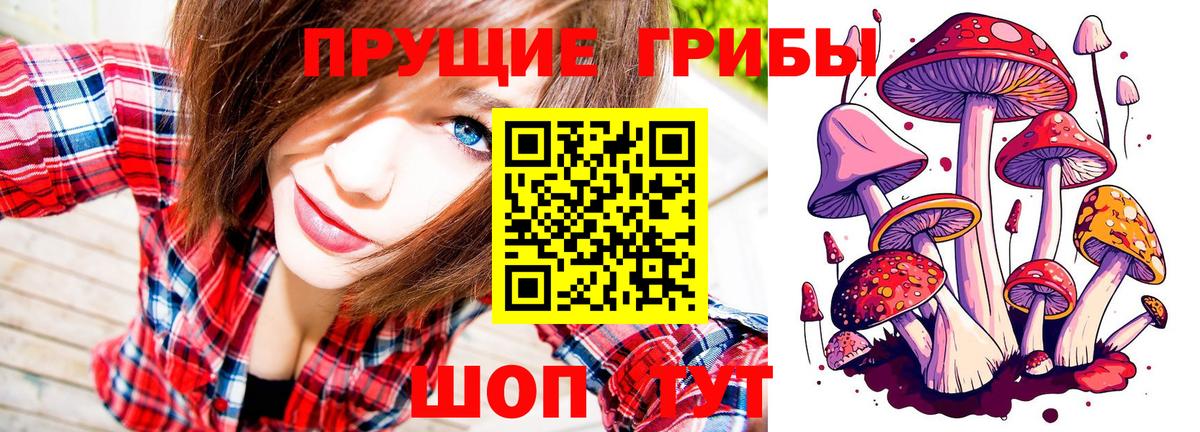 Галлюциногенные грибы ЛСД  Галлюциногенные грибы Magic Shrooms  Вход с VPN  Ипатово 